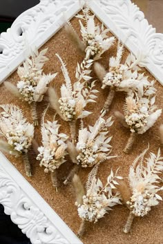 several dried flowers are placed in a white frame