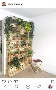 a wooden shelf filled with potted plants on top of a floor next to a chair