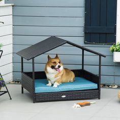 a dog laying on top of a blue bed in front of a house