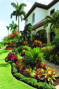 Luxurious tropical garden with manicured lawns, palm trees, and colorful flower beds. Manicured Lawns Landscaping, Front House Landscaping Florida, Palm Tree Landscape Ideas Front Yards, Tropical Flower Bed, Bromeliads Landscaping, Garden Design Home, Landscape Border, Home Gardening Ideas, Pool Makeover