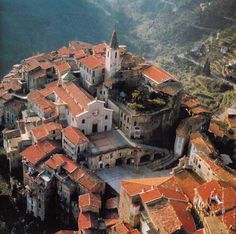 an aerial view of a village with red roofs and steeple buildings in the background