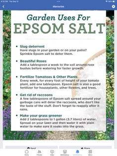 the garden uses for epsom salt is displayed on an iphone screen, and there are several