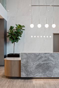 an office lobby with a marble counter and plant in the center, surrounded by hanging lights