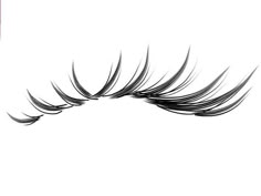 an eye with long lashes on a white background