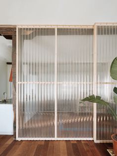 a living room with wooden floors and white curtains on the wall, along with a potted plant