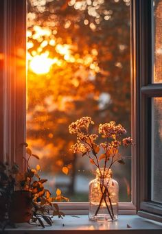 the sun shines brightly through an open window, with flowers in front of it