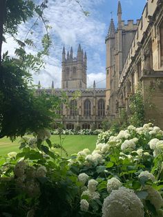 white flowers are growing in the foreground and an old building is in the background