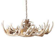 the antler chandelier is hanging from a chain