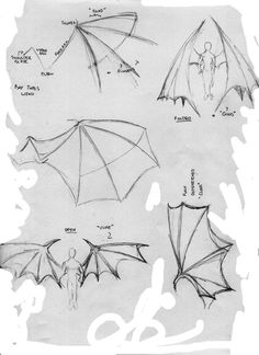 some drawings of different types of umbrellas