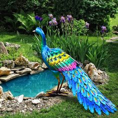 a colorful bird is standing next to a pond