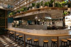 the inside of a restaurant with many plants on the counter and stools in front of it