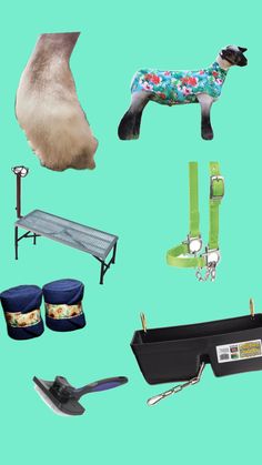 there are many items that can be found in this image, including shoes and other things