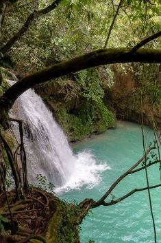 a large waterfall in the middle of a forest