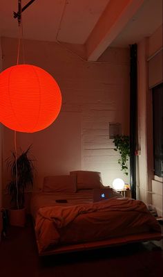 a room with a bed, plant and lamp on the ceiling in it's corner