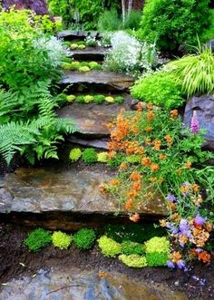 the garden is full of flowers and plants, along with stone steps leading up to it