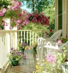 the porch is full of flowers and potted plants