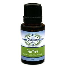 Tea Tree essential oil is a heavy hitter for many issues from insect bites to skin issues. From the Melaleuca Alternifolia plant, pure tea tree oil is active against all 3 categories of infectious organisms-bacteria, fungi, and viruses (Davis, Aromatherapy A to Z). Emotionally, it has been known to improve emotional strength. Destination Oils | Destination Oils Tea Tree Essential Oil 3.0 H x 1.5 W x 2.0 D in Blue;white;green | 3" H X 1.5" W X 2" D | Wayfair Melaleuca Essential Oil, Eco Candles, Scented Oil Diffuser, Essential Oil Set, Melaleuca Alternifolia, Scent Diffuser, Oil Gifts, Tea Tree Essential Oil, Insect Bites