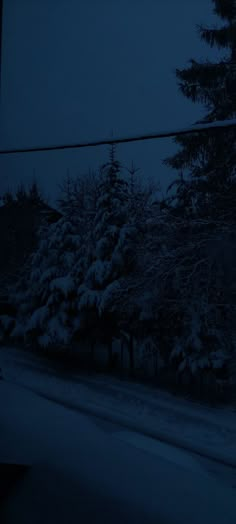 snow covered trees line the street in front of a house at night with no one on it