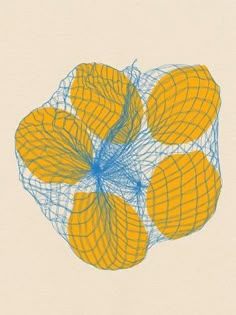 four oranges with blue lines in the middle on a beige background, arranged as a flower