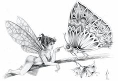 a pencil drawing of a fairy sitting on a branch next to a butterfly