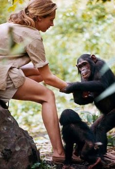 a woman petting a chimpan on the back of a rock with an inspirational quote