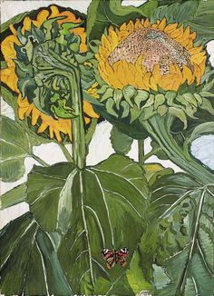 a painting of sunflowers and butterflies on a green leafy plant with white background