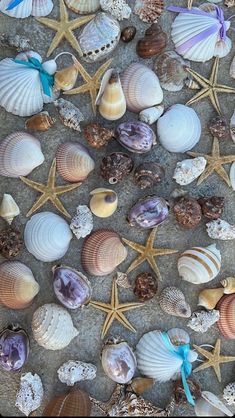 Summer Aesthetic Wallpaper, July Wallpaper, Backyard Bbq, Beach Scenes, Summer Aesthetic, Aesthetic Wallpaper, Starfish, Summer Days, Sea Shells