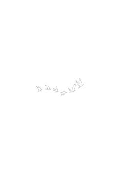 birds flying in the sky on a white background