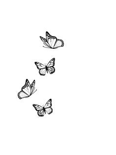 three butterflies flying in the sky with no one on it's back legs and wings