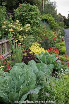 a garden filled with lots of different types of flowers and plants next to a wooden fence