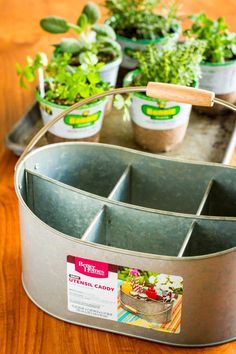 several potted plants sitting on top of a wooden table next to a metal tray