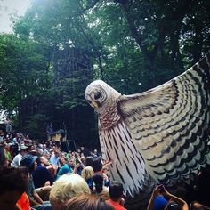 a large bird flying over a crowd of people