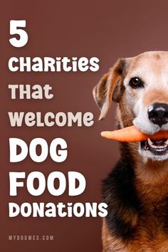 5 Excellent Organizations to Donate Dog Food to - Dog charity [Click to read the article] 	5 Charities That Welcome Dog Food Donations Food Donations, Foods Dogs Can Eat, Puppy Proofing, Food Donation, Sick Dog, Support Dog, Animal Shelters