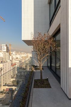 a tree in a planter on the side of a building