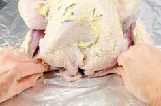 Looking for advice on cooking a simple Small Whole Turkey, this recipe is for making a Perfect tender whole Turkey between 2kg to 4kg (4lb - 8lb). We take you through every step of making the best Roast Turkey Christmas Dinner! From where to buy a small turkey, whether to buy fresh or frozen and how to safely defrost a frozen whole turkey. To what to stuff with, how to remove a wishbone and string the poultry. And finally, of course, the temperature and cooking times and how to carve?