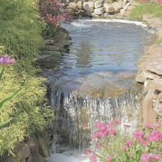 there is a small waterfall in the middle of this garden with flowers and plants around it