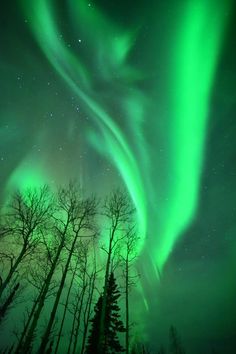 an aurora bore is seen in the night sky above trees and snow covered ground with bright green lights