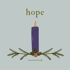 a purple candle with the word hope in front of it and evergreen branches around it