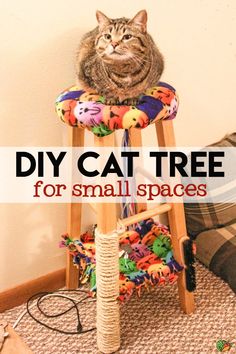 a cat sitting on top of a stool with the words diy cat tree for small spaces