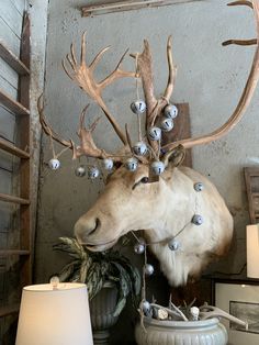 a deer head with antlers and balls on it's face next to a lamp