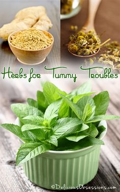 herbs for tummy toubles