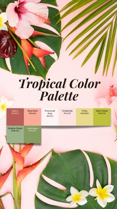 tropical color palette with flowers and palm leaves