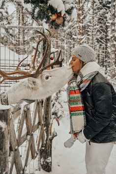 a woman is kissing a reindeer in the snow