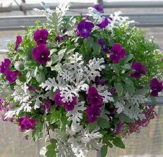 a white vase filled with purple and white flowers