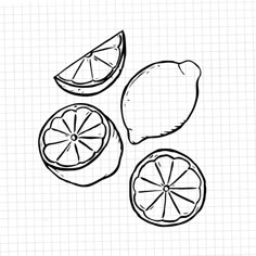 Four hand drawn lemon doodle clipart. Perfect for limonchello shots or menu card. Lemon Doodle, Lemon Illustration, Lemon Drawing, Doodle Clipart, Hippie Wedding, Menu Card, Line Illustration, Card Illustration, Menu Cards