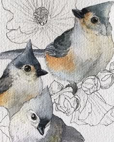 two birds are sitting on a branch with flowers in the background and one bird is looking at the camera