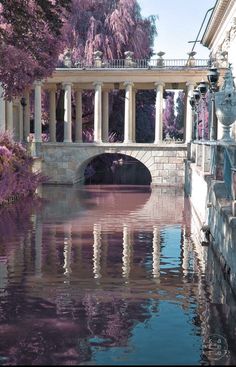 a bridge over a body of water with trees in the background