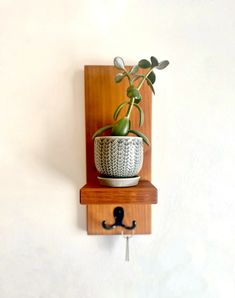 a potted plant sitting on top of a wooden shelf next to a metal hook