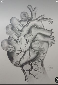 a drawing of a human heart with two hands