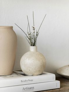 a white vase sitting on top of two books next to a plant in a pot